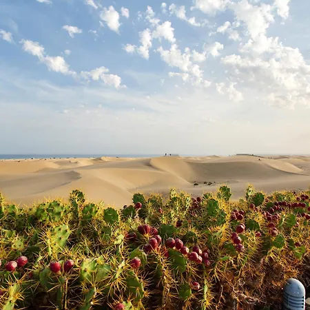 Dunas *